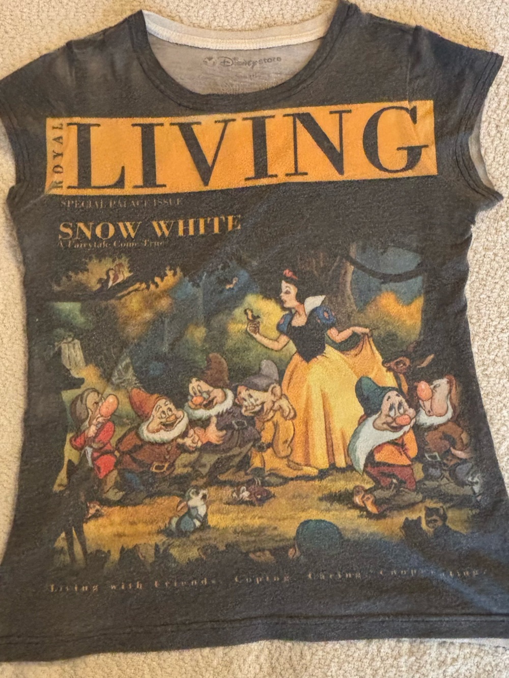 Disney Snow White & Seven Dwarfs Graphic Tee - Black with Yellow & Blue Art